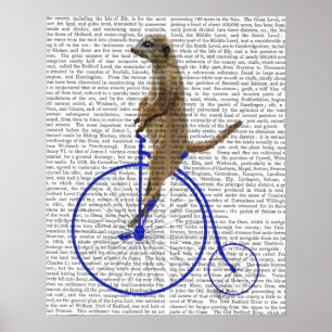 Meerkat On Blue Penny Farthing Poster
