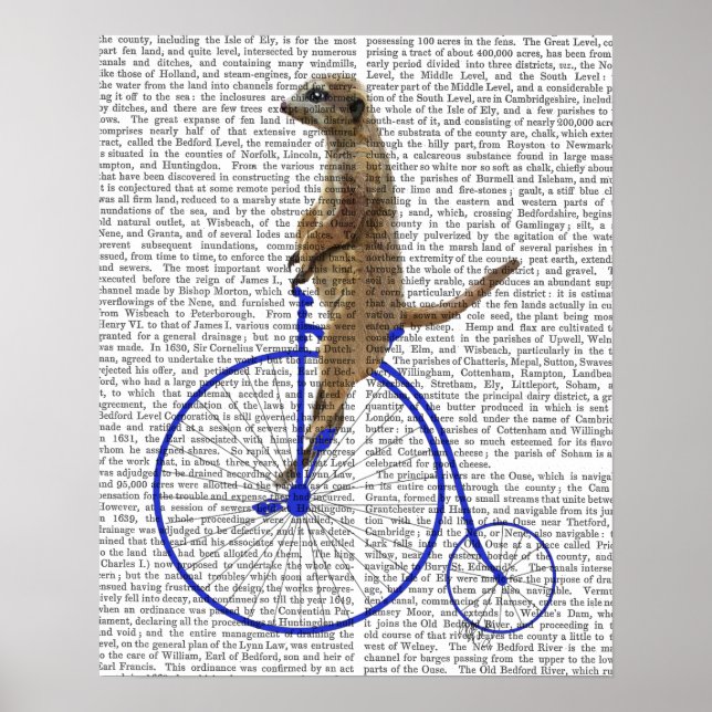 Meerkat On Blue Penny Farthing Poster (Front)