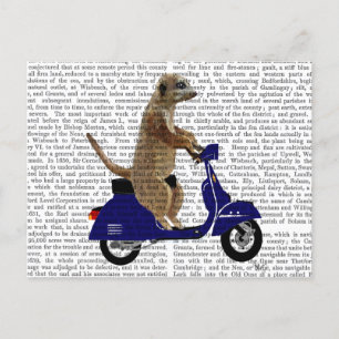 Meerkat on Dark Blue Moped Postcard