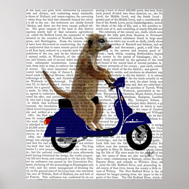 Meerkat on Dark Blue Moped Poster (Front)