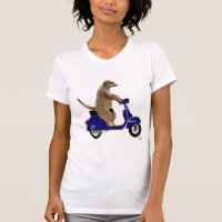 Meerkat on Dark Blue Moped