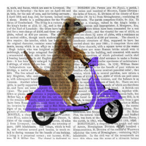 Meerkat on Lilac Moped Acrylic Print