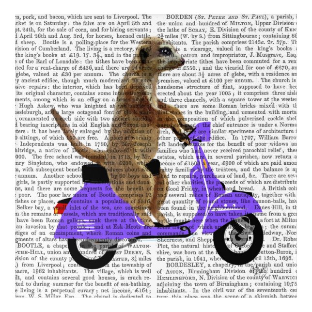Meerkat on Lilac Moped Acrylic Print (Front)