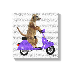 Meerkat on Lilac Moped Canvas Print