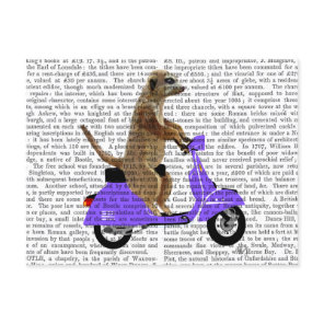 Meerkat on Lilac Moped Postcard