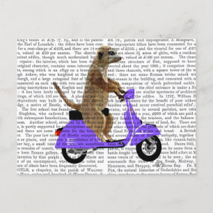 Meerkat on Lilac Moped Postcard