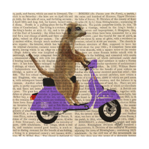 Meerkat on Lilac Moped Wood Wall Art