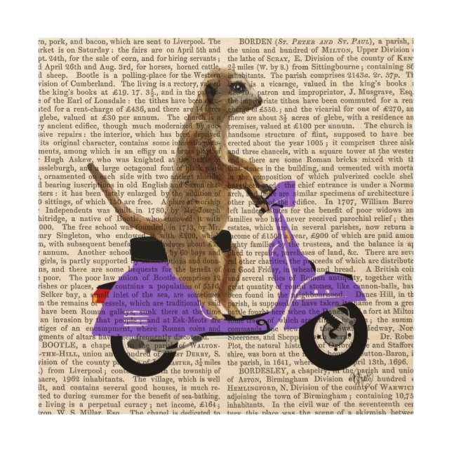 Meerkat on Lilac Moped Wood Wall Art (Front)