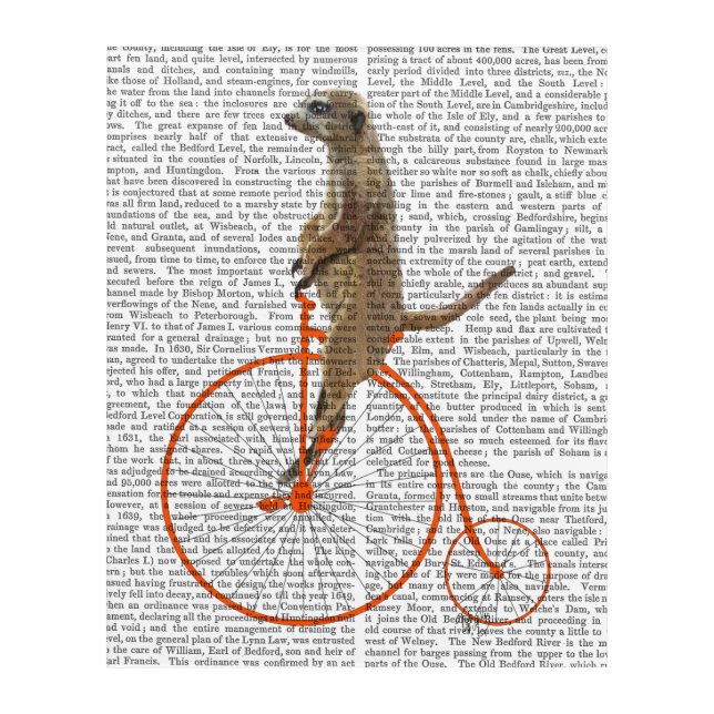 Meerkat on Orange Penny Farthing Acrylic Print (Front)