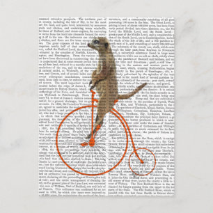 Meerkat on Orange Penny Farthing Postcard