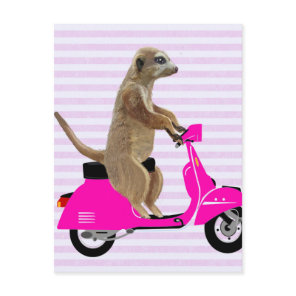 Meerkat on Pink Moped 2 Postcard