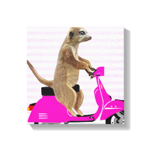 Meerkat on Pink Moped Canvas Print