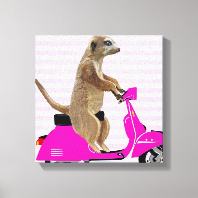 Meerkat on Pink Moped Canvas Print (Front)