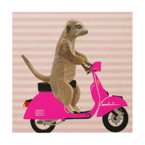 Meerkat on Pink Moped Wood Wall Decor