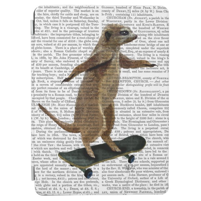 Meerkat On Skateboard 2 iPad Air Cover (Front)