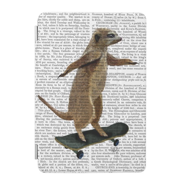 Meerkat On Skateboard 2 iPad Mini Cover (Front)