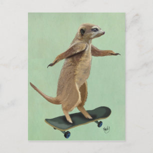 Meerkat On Skateboard 3 Postcard
