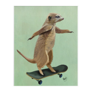 Meerkat On Skateboard Acrylic Print