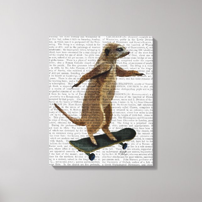 Meerkat On Skateboard Canvas Print (Front)