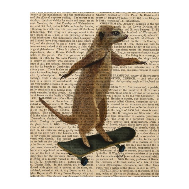 Meerkat On Skateboard Wood Wall Decor (Front)
