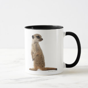 Meerkat or Suricate - Suricata suricatta Mug