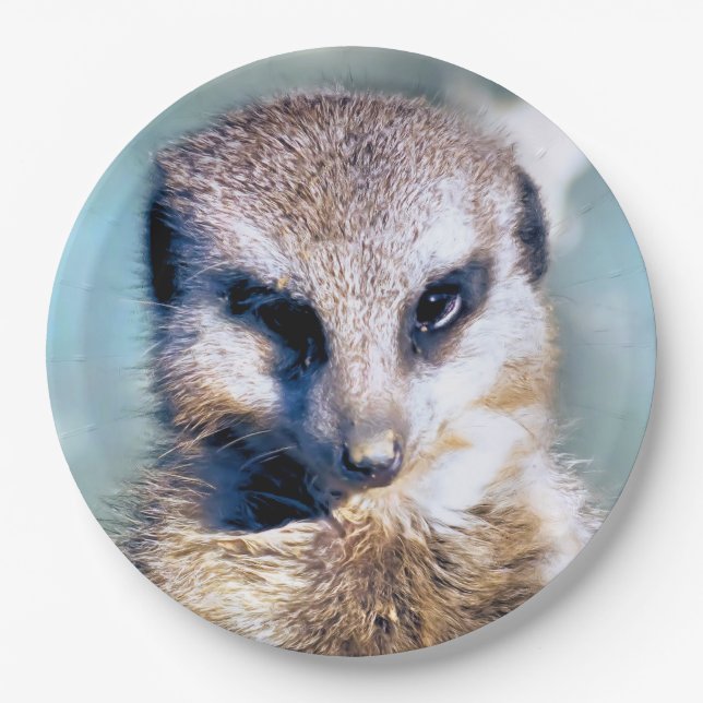 MEERKAT Paper Plate (Front)
