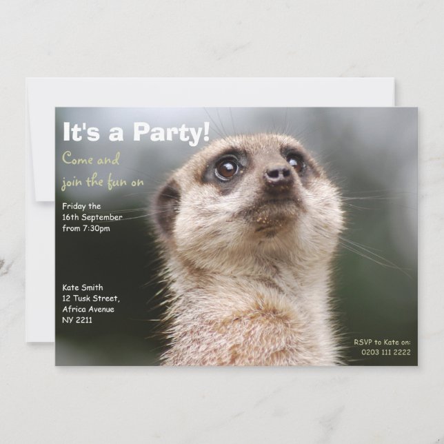 Meerkat Party Invitation (Front)