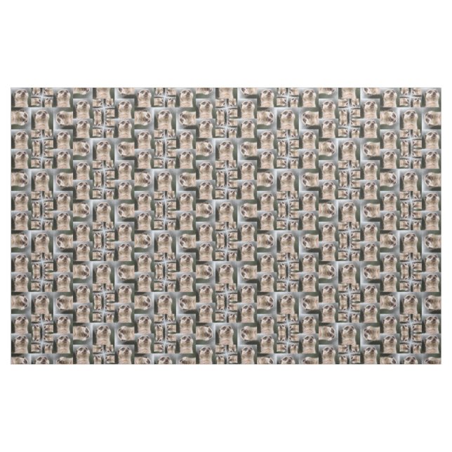 Meerkat Pattern Fabric (Fat Quarter)