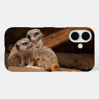 Meerkat Phone Case