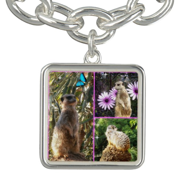 Meerkat Photo Collage, Charm Bracelet (Design)