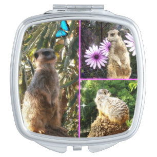 Meerkat, Photo Collage,Ladies Makeup Compact Mirror