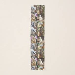 Meerkat Photo Collage, Scarf