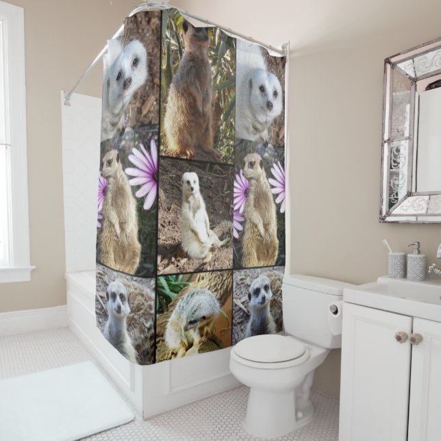 Meerkat Photo Collage, Shower Curtain (In Situ)