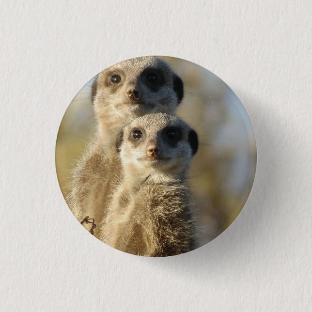 Meerkat Pinback Button (Front)