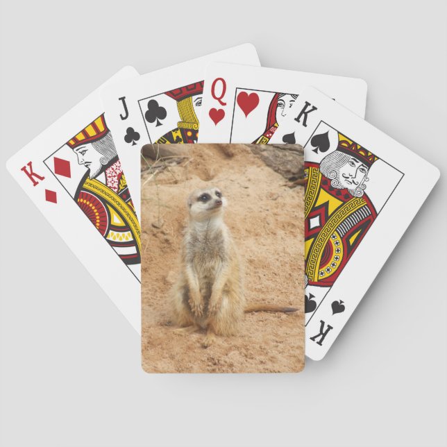 Meerkat Playing Cards (Back)