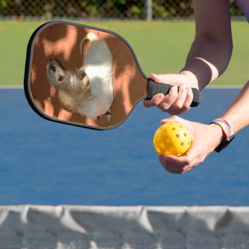 Meerkat Playtime Pickleball Paddle