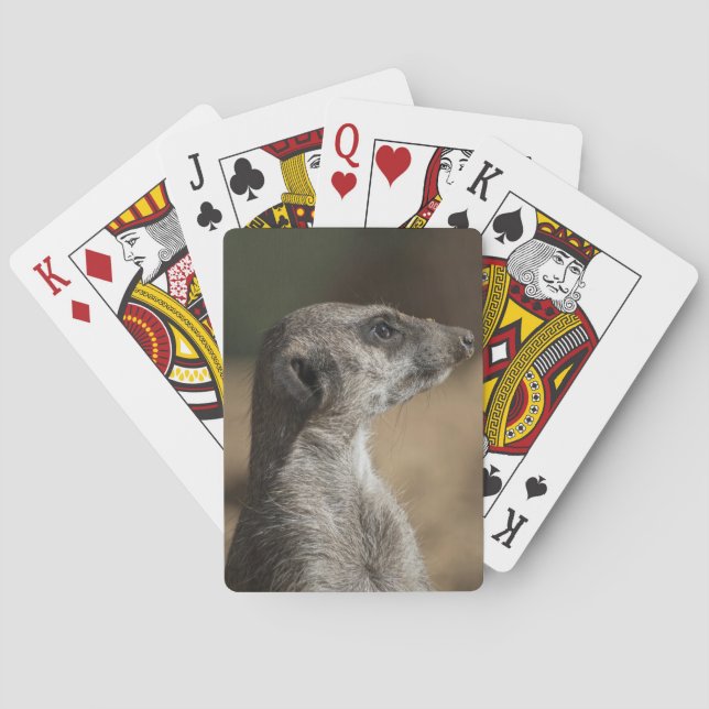 Meerkat Poker Cards (Back)