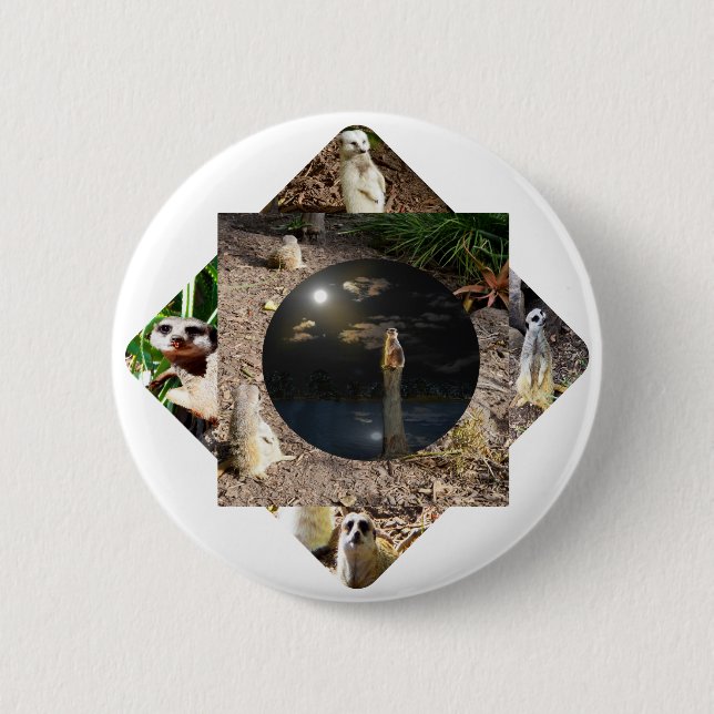 Meerkat Polyscope,  Button (Front)