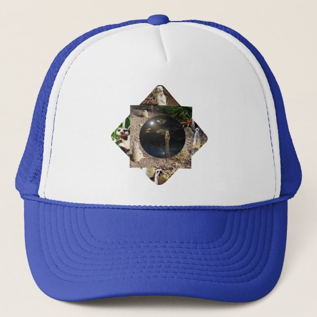 Meerkat Polyscope, Truckers Hat (Front)