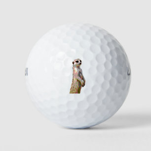 Meerkat - Pop Art Style & Posterized Golf Balls