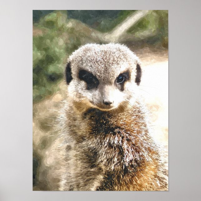 MEERKAT POSTER (Front)