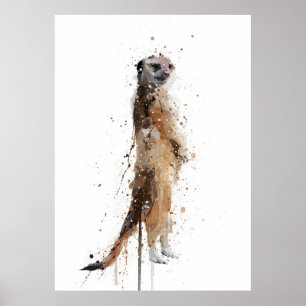 Meerkat Poster