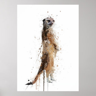 Meerkat Poster