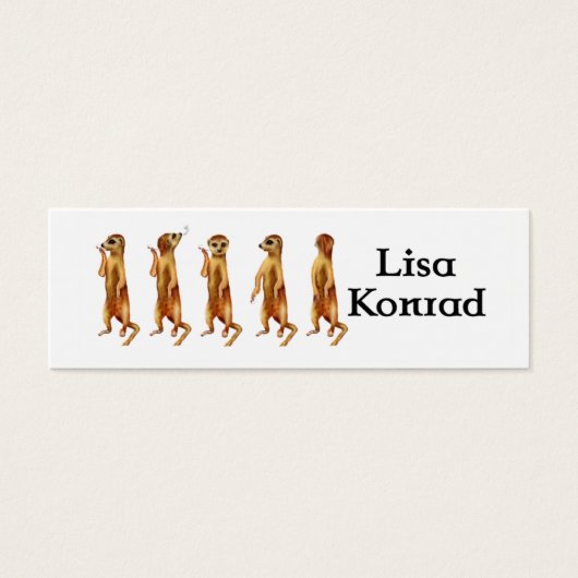 Meerkat profile Card (Front)