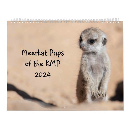Meerkat Pups of the KMP 2024 Calendar