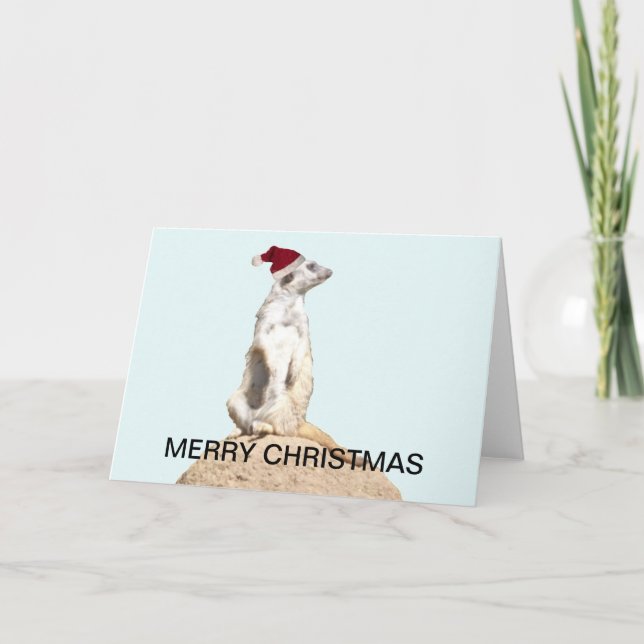 Meerkat Santa Holiday Card (Front)