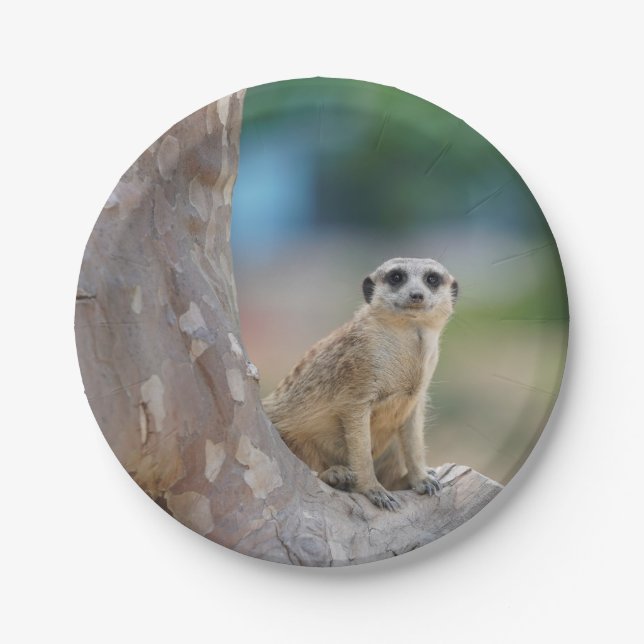 Meerkat Sat on Tree Paper Plates (Front)