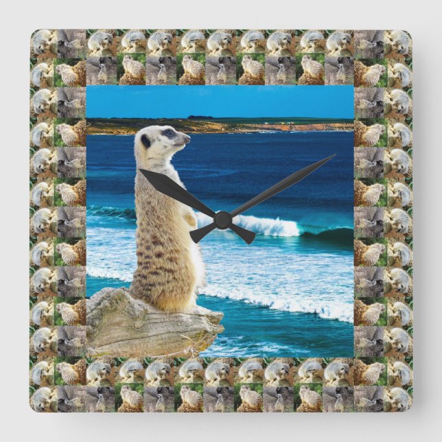 Meerkat Sentry Watching For Fish At The Beach, Square Wall Clock (Front)