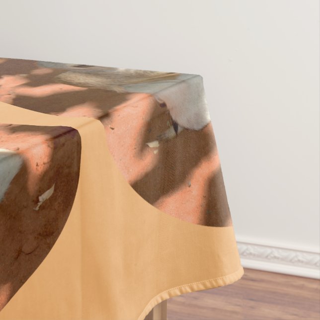 Meerkat Siblings, Tablecloth (In Situ)