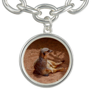 Meerkat Sitting Photography, Bracelet
